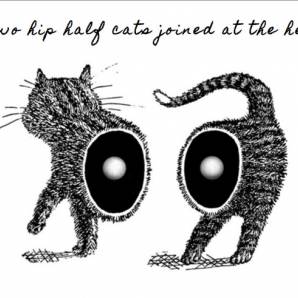 recommendation-half-cat-music
