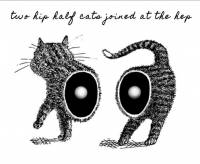 recommendation-half-cat-music